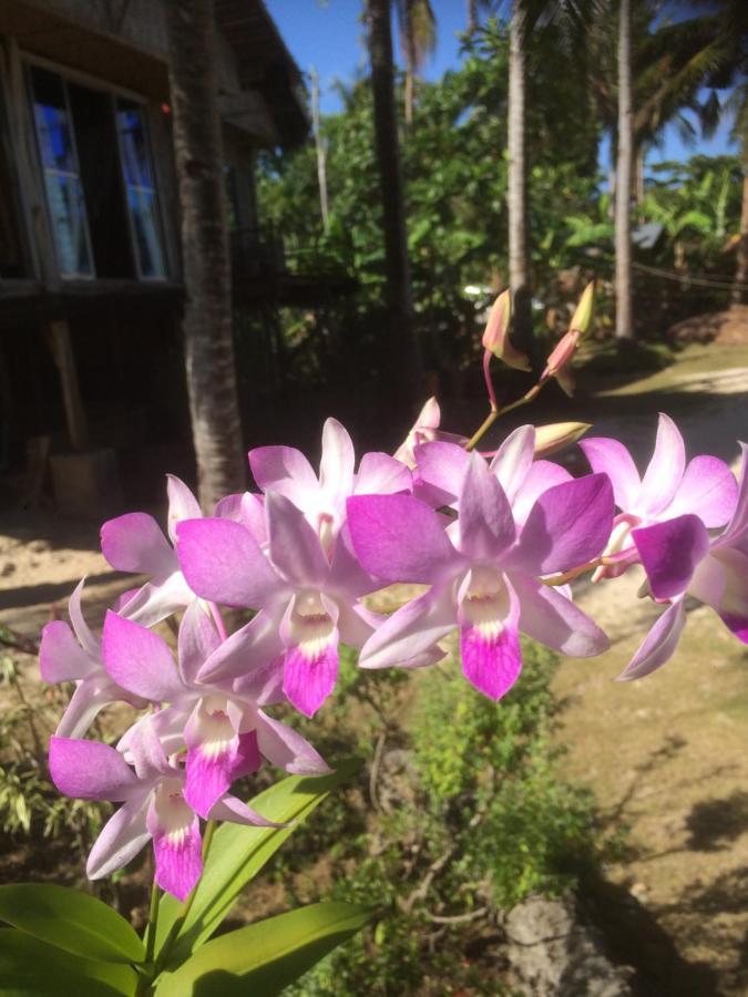We Call It Rainbow Paradise Hotel Daanbantayan Buitenkant foto
